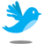 My Twitter